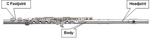 flute anatomy
