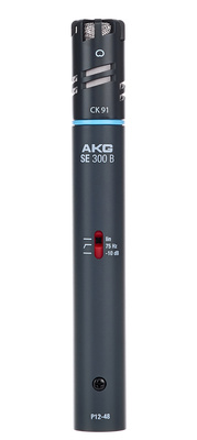 Akg C391B