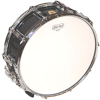 Maple Snare