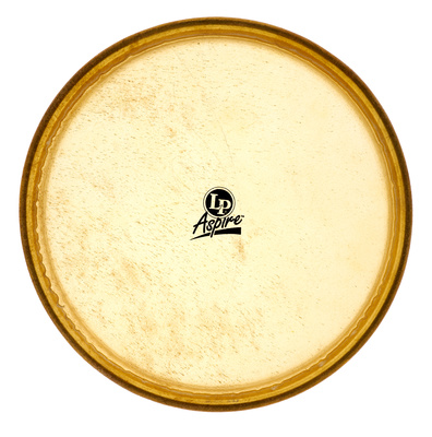 LP A640C 12" Conga Head Aspire